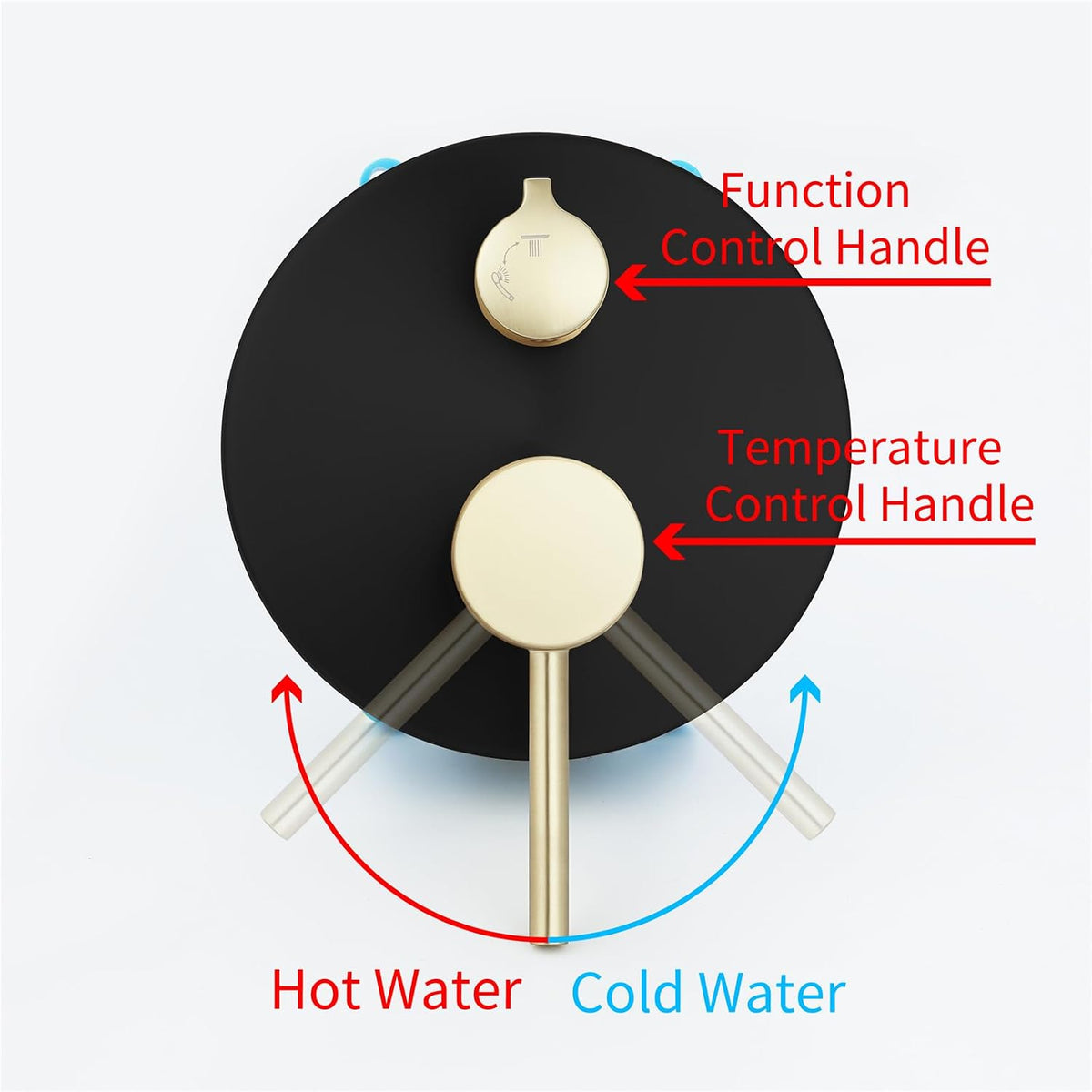 Shower Faucet Set Black and Brushed Gold 10'' Rainfall Shower System