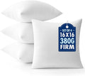 MIULEE Throw Pillows Inserts by MIULEE