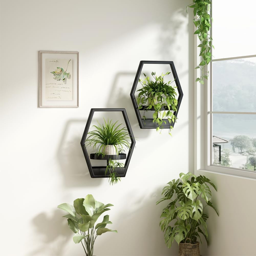 Wall Plant Holde Metal Hanging Planters Plant Stand Indoor Hanger