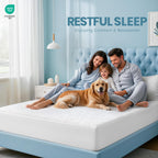 Utopia Bedding 100% Waterproof Queen Size Mattress Protector Noiseless