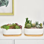 White Ceramic Succulent Plant Pots, Indoor and Outdoor Succulent Planters, Set of 2 Small Cactus Containers, Bonsai Pots, Flower Pots with Drainage Hole and Bamboo Bowl (No Plant)