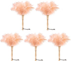 Ostrich Feather Duster 12 Inch Handheld Duster Supplies, Wooden Handle Feather Duster for Cleaning Keyboard Home Car Office (Champagne 5Pcs)