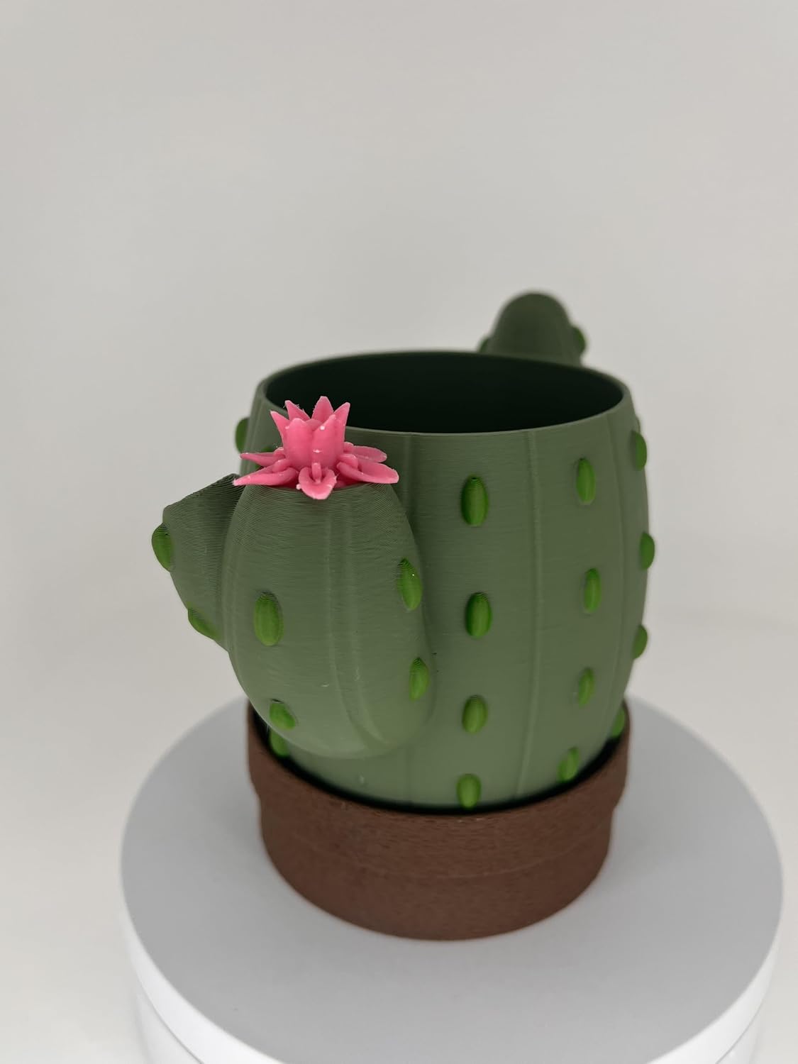 Self Watering Cactus Planter, Small Succulent Plant Pot Modern Indoor Planter for Desk, Home and Office Decor