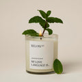 Below 60 Scented Candle | My Love Language is… | Essential Oil-Based Fragrance | Hand-Made with Paraffin-Free Soy Wax | 100% Cotton Wick | 50 hr Burn Time | Spearmint & Fennel (10oz)