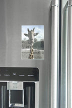 pbf 4x6 Magnetic Acrylic Picture Frames for Refrigerator – Clear Photo Holder Display for Fridge, Locker, Whiteboard, Office, Artwork, Signs – 10 Pack