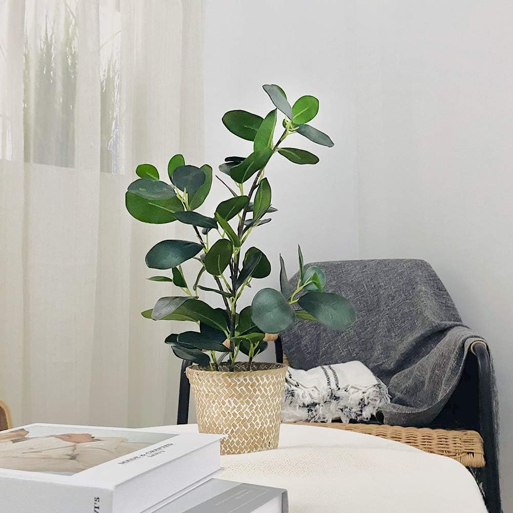 SAROSORA Artificial Ficus Tree Small Fake Plants in Weaved Pot 20" Height for Living Room Desktop Decor Indoor Home Office Ins Style (Green, 1)