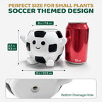 Soccer Face Plant Pots, 4 Inches Resin Planters, Cute Succulent Pot