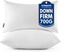 MIULEE Pillows Standard Size Set of 2 by MIULEE