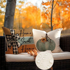 RABUSOFA Fall Pillow Covers 16x16 Aqua Pumpkin Fall Decorations for Home