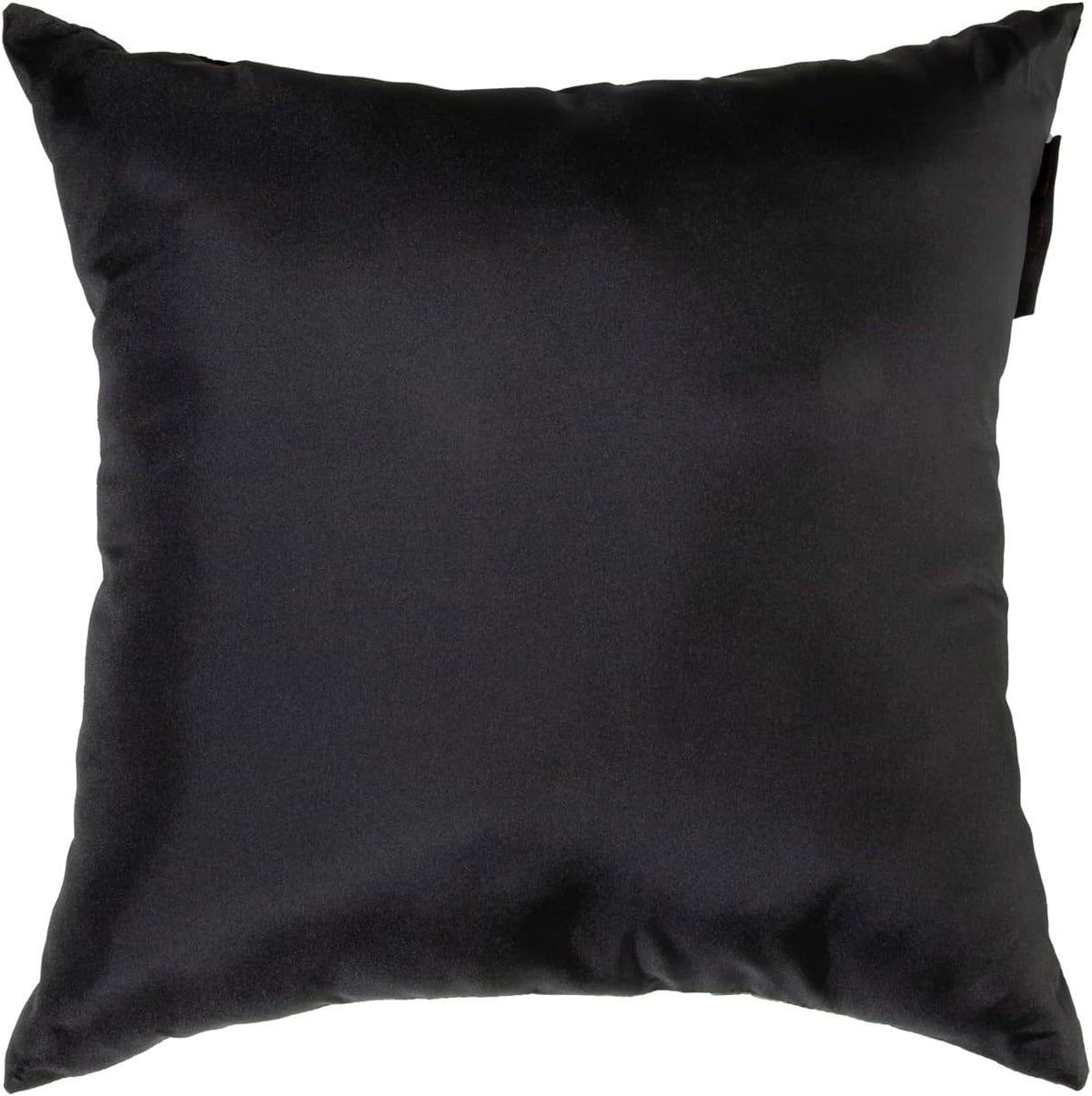 Classic Accessories Frida Kahlo Accent Pillows, 2-Pack, 18 Inch, Viva La Vida