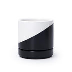 D'vine Dev 4.7 Inch Ceramic Planter Pot, White, 94-O-B-1
