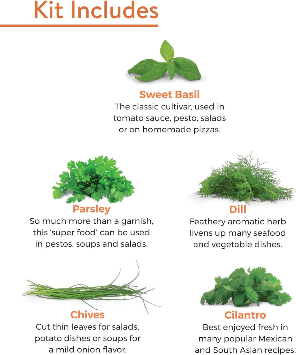 Burpee Culinary Garden Starter Kit Packets, 5 Pots, 5 Coir Pellets & 5 Plant Markers Non-GMO Herb Seeds: Cilantro, Dill, Parsley, Sweet Basil & Chives