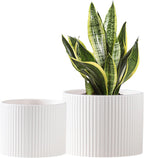 Ceramic Plant Pots, 8.1 + 6 Inch Planters for Indoor Plants, Modern Flower Pots for Plants with Drainage, Medium Cylinder Flower Pots for Indoor Plants, House Plants, Matte White