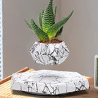 MOOCCI Floating Plant Pot, Levitating Plant Pot for Succulents