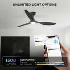 Roomratv 52'' Smart Ceiling Fan with Light, Wide Blade Design, Remote