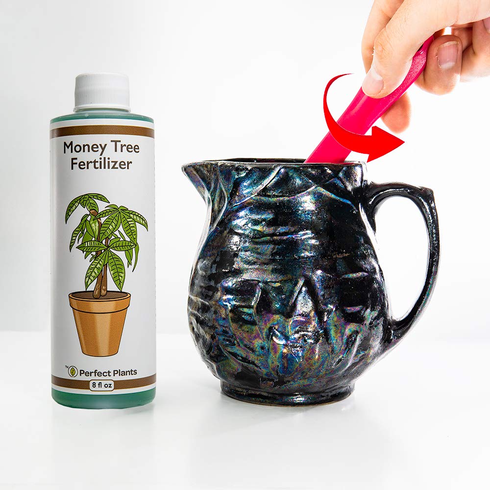 Perfect Plants Money Tree Fertilizer, 8 oz, Liquid Indoor Plant Food
