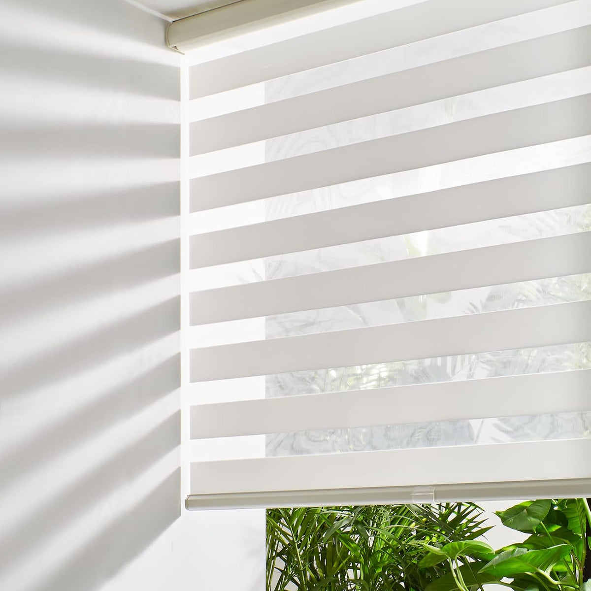 Persilux Cordless Zebra Blinds for Windows Free-Stop Roller Windows Shades Dual Layer Light Control for Day and Night, Light Filtering Sheer Shades for Home (34" W X 64" H, Cream)