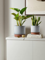 LE TAUCI Ceramic Pots for Plants, 8+6.7+5.5 Inch Plant Pots Indoor, Flower Pot with Drainage Holes, Medium Cylinder Planters for Indoor House Plants, Set of 3, Reactive Glaze White