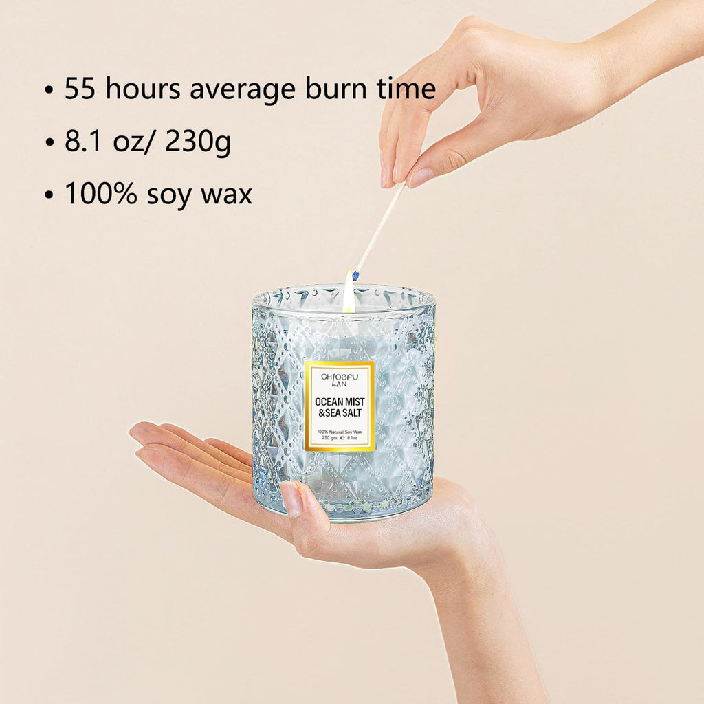 Chloefu LAN Summer California Mist Ocean & Sea Salt Candle, 8.1 oz