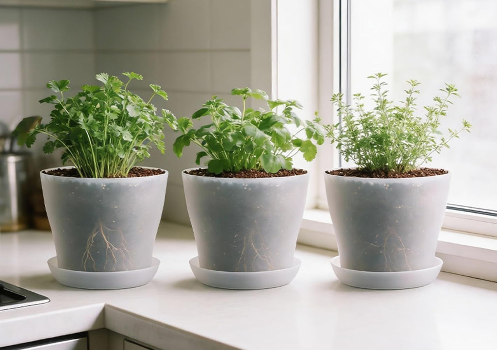 6 Pack 8 Inch Clear Nursery Plant Pots with Large Drainage Holes &Saucer