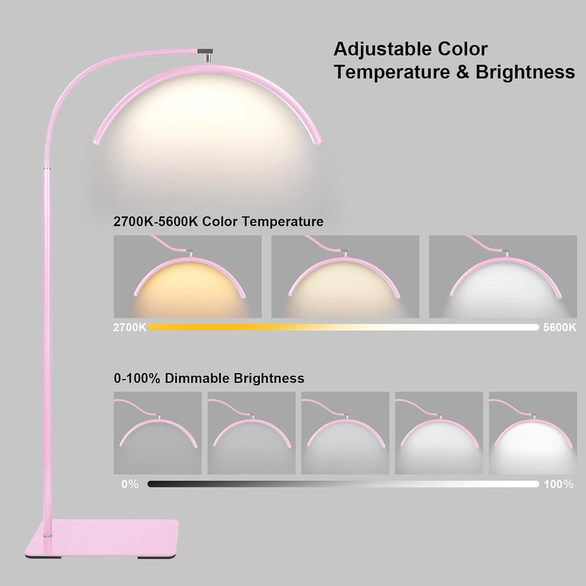 Half Moon LED Floor Light - Professional Shadow-Free, Dimmable Lamp | for Lash Techs, Estheticians & Tattoo Artists | Eyelash Extensions, Nail Art, Home & Office (Pink)