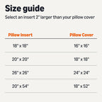 Amazon Basics Throw Pillow Insert, Down Alternative Fiberfill, Hypoallergenic, Machine Washable, 20 Inch, 2-Pack, for Sofa Bed Couch