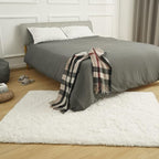 Amearea Premium Soft Fluffy Area Rug Modern Shag Carpet, 3x5 Feet, Fuzzy Shaggy - Image 3