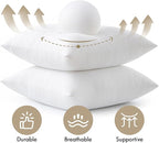 MIULEE Pillows Inserts - Image 3