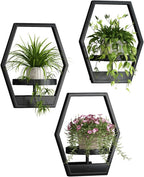 Wall Plant Holde Metal Hanging Planters Plant Stand Indoor Hanger