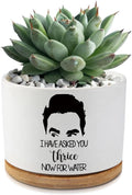I Have Asked You Thrice Now for Water Ceramic Succulent Planter Pot with Drainage,Funny Plants Pots Gifts,for Women Mom Plant Lovers Gifts,3.5 inch(Plant Not Included)