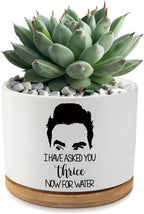 I Have Asked You Thrice Now for Water Ceramic Succulent Planter Pot with Drainage,Funny Plants Pots Gifts,for Women Mom Plant Lovers Gifts,3.5 inch(Plant Not Included)