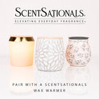 ScentSationals Cedar & Lavender Scented Wax Melts 10oz (24 Cubes)