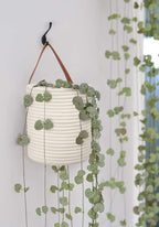 Goodpick 2 Pack Cotton Rope Wall Hanging Baskets for Home Decor