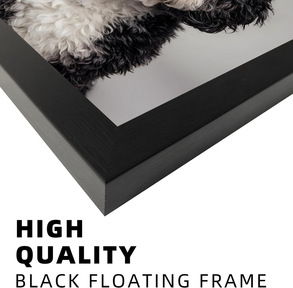 Framed Funny Bathroom Wall Art