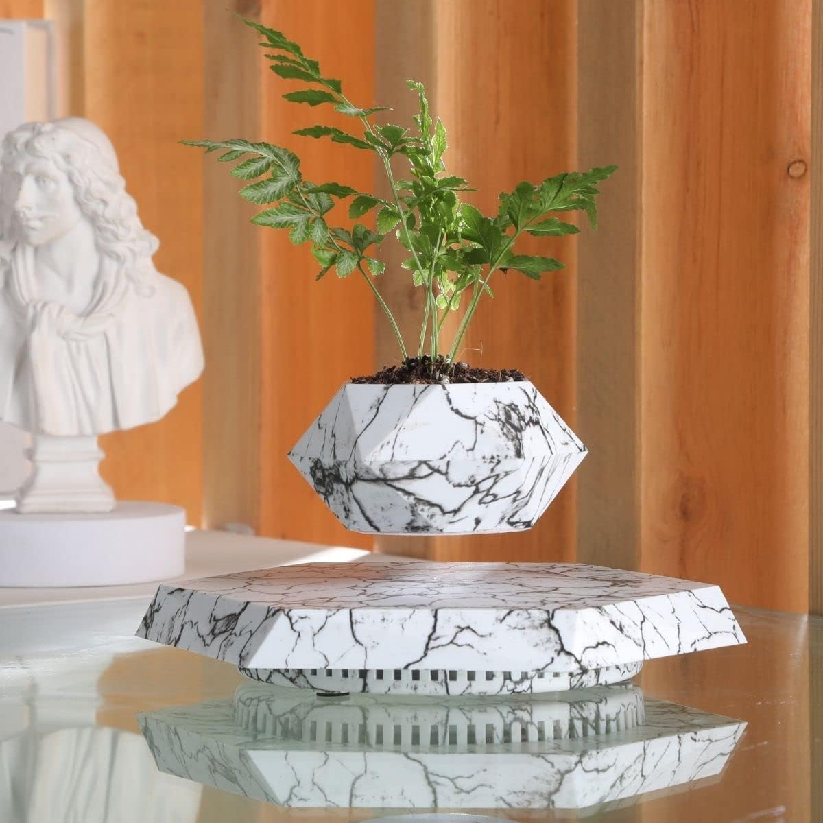MOOCCI Levitating Plant Pot, Floating air Planter for Succulents