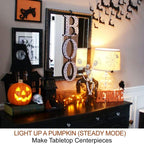 2-Pack Large Halloween Pumpkin Lights with Remote and Timer - White Pumpkin Lights Battery Operated Halloween Decor - Bright Jack-O-Lantern Decorations
