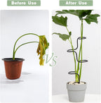 3PCS Indoor Plant Support Stakes - Sturdy Metal Trellis for Houseplants