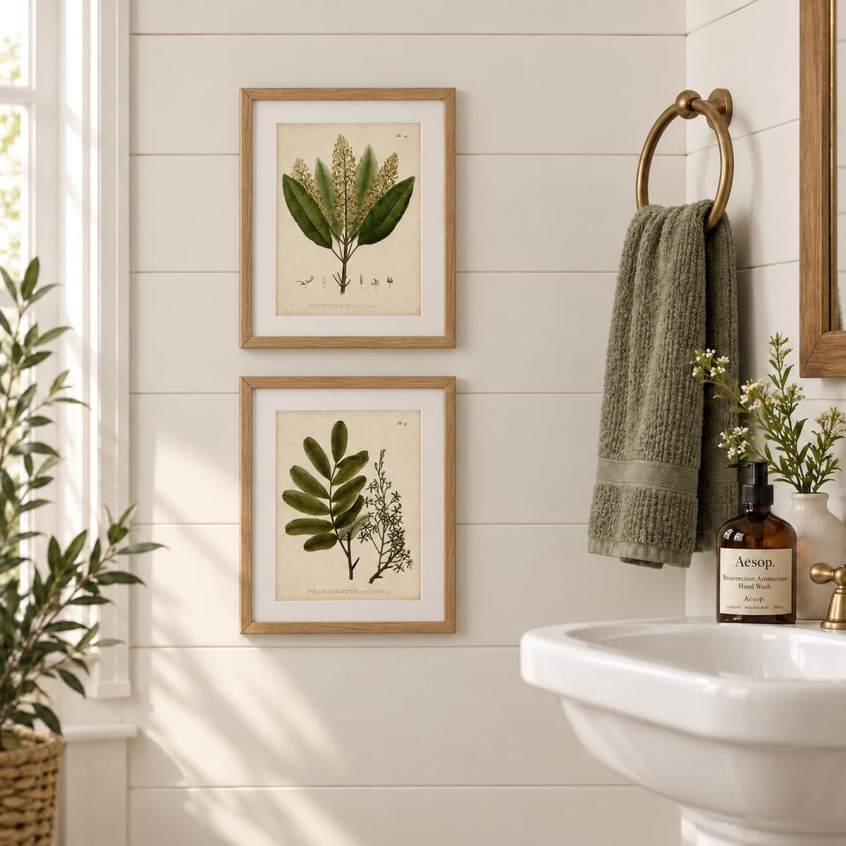Vintage Botanical Wall Art, Set of 4 Unframed 8x10 Fern Prints