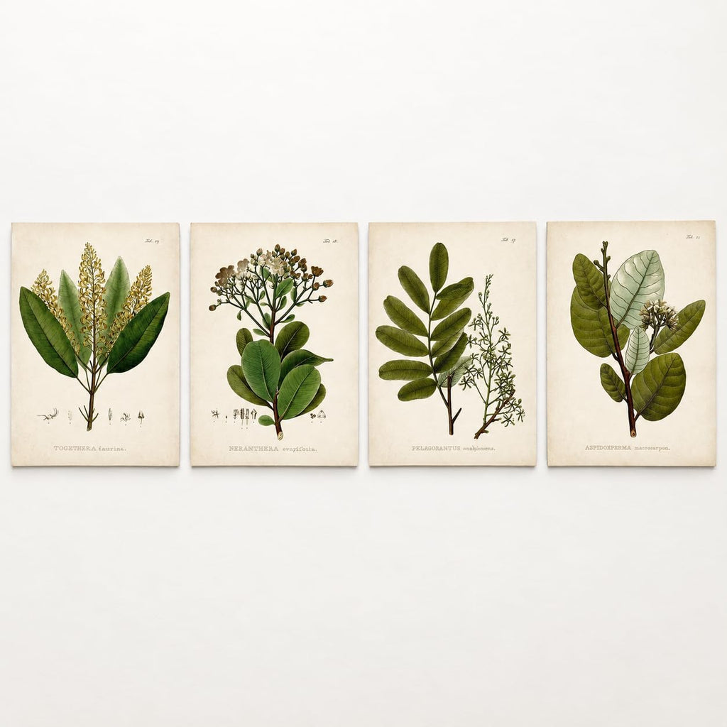 Vintage Botanical Wall Art, Set of 4 Unframed 8x10 Fern Prints
