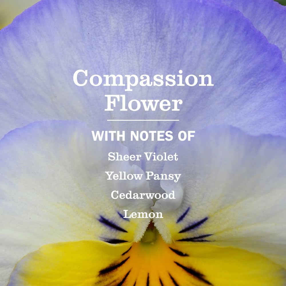 MRS. MEYER'S CLEAN DAY Multi-Surface Cleaner, Compassion Flower, 3 Pack