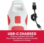 CHAPIN 75004 1-Liter USB-C Battery Powered Sprayer for Plants & Garden