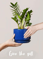 LE TAUCI Ceramic Pots for Plants, 4.3+5.3+6.8 Inch, Set of 3, Sapphire Blue