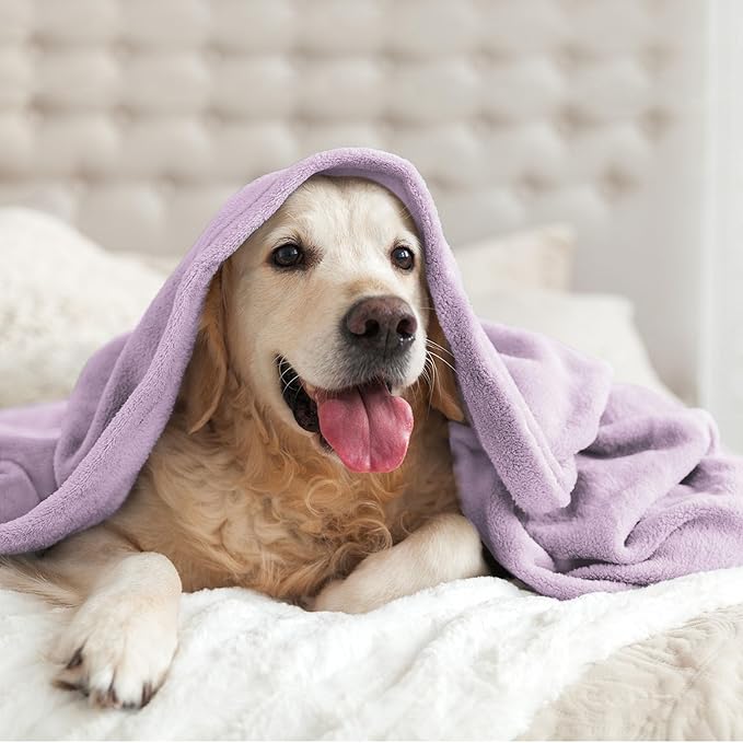 BEDELITE Fleece Blankets Queen Size Lilac Throw Blankets - Image 9