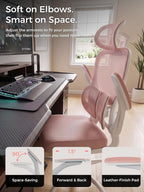 Ergonomic Office Desk Chair, Adjustable Dual Lumbar Support & Thick Seat
