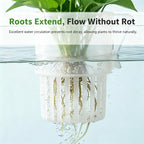 Aquarium Plant Holder, 3 Pack Clear Hanging Hydroponic Plant Basket
