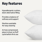 Amazon Basics Throw Pillow Insert, Down Alternative Fiberfill, Hypoallergenic, Machine Washable, 20 Inch, 2-Pack, for Sofa Bed Couch