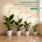 Full Spectrum Grow Lights for Indoor Plants&Home Décor.