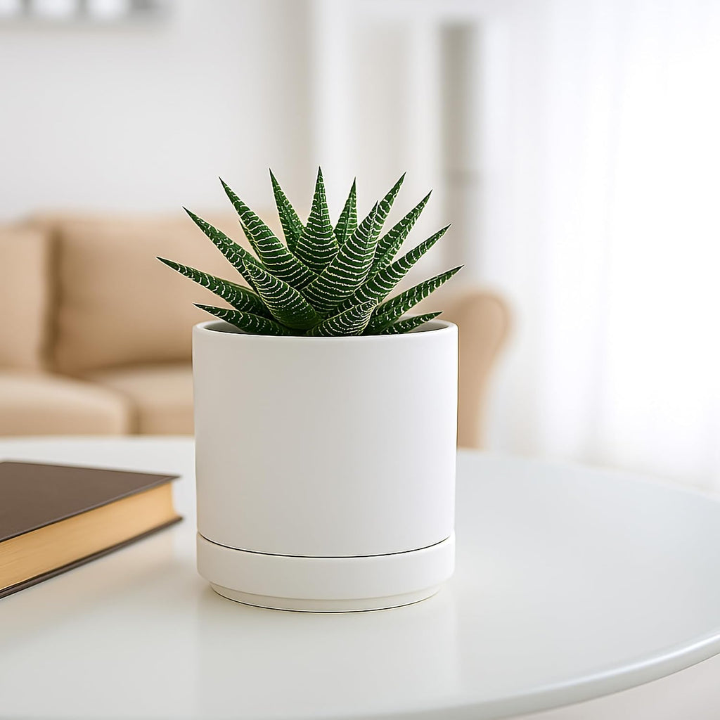 D'vine Dev 4.7 Inch Ceramic Planter Pot, White, 94-O-B-1