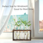 XXXFLOWER 5Test Tube Plant Propagation Station Plant Terrarium Wooden Stand