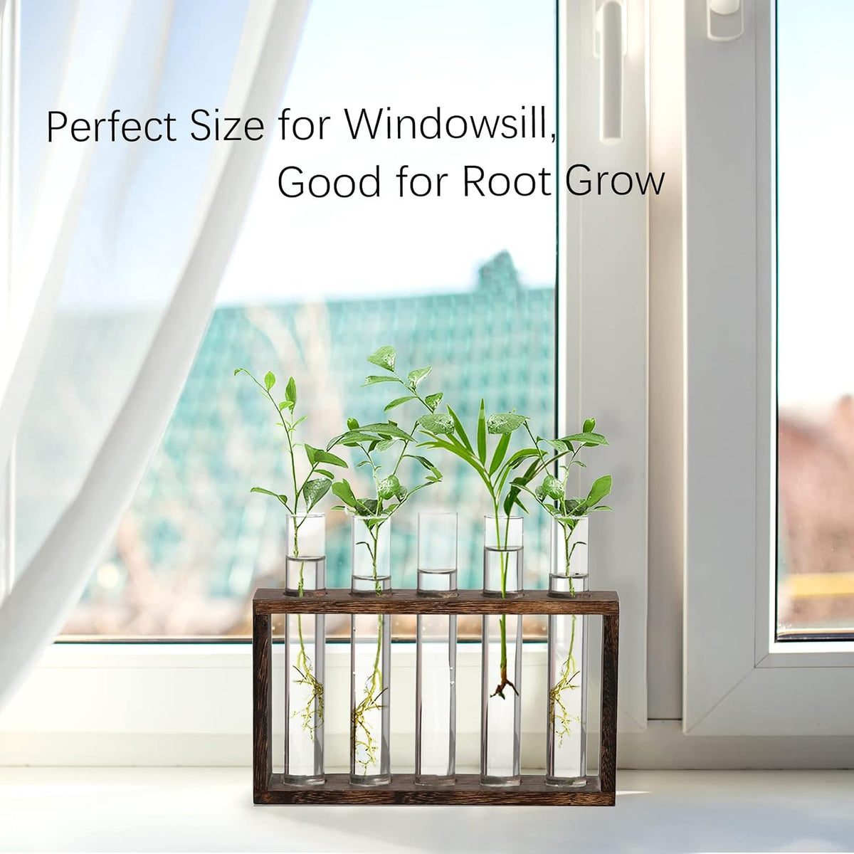 XXXFLOWER 5Test Tube Plant Propagation Station Plant Terrarium Wooden Stand